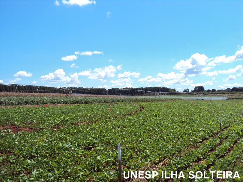 aula_cerrado_12marc2012 (18).JPG